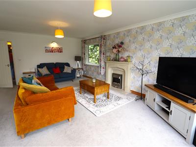 Picture 25